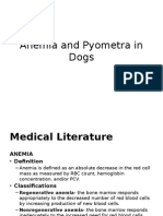 Anemia and Pyometra in Dogs: A Case Study
