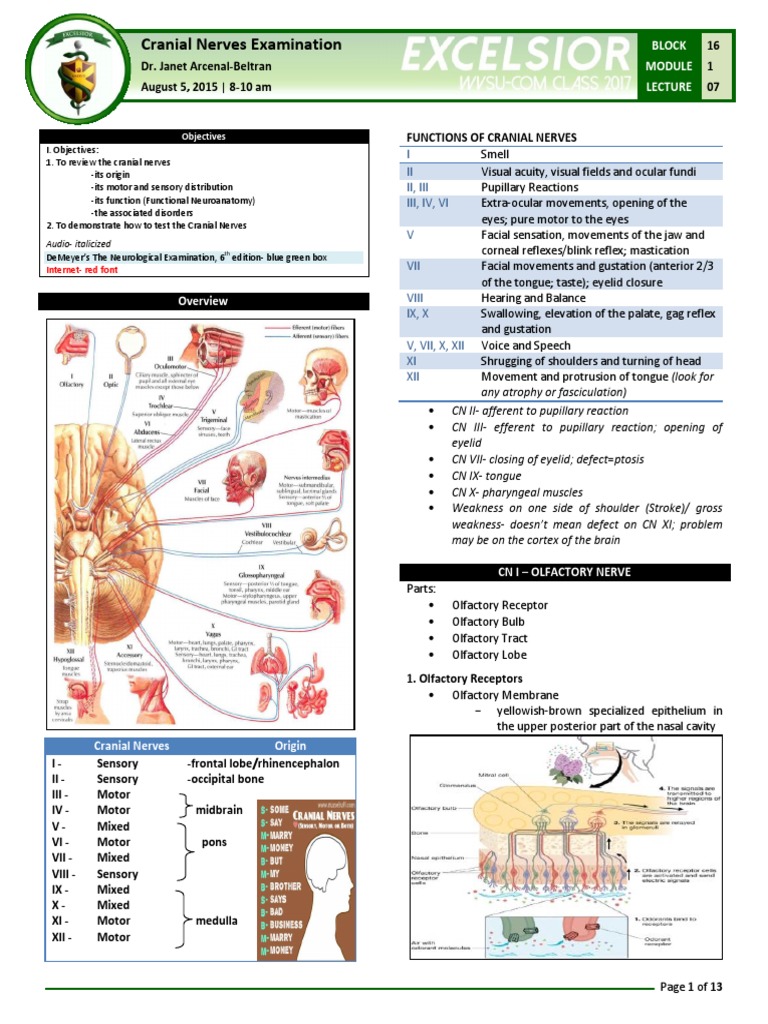 B16M01L07 - Cranial Nerves Examination | PDF | Visual System | Olfaction