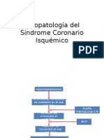 Expo Fisiopatología