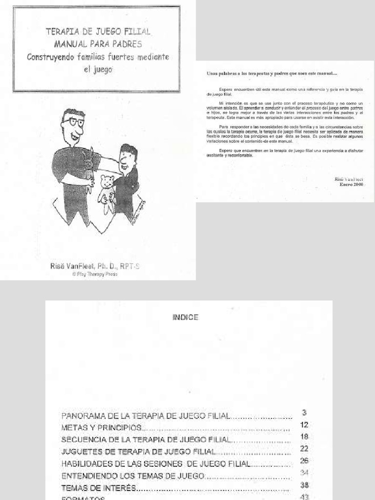 Manual De Terapia De Juego Charles Schaefer Pdf