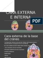 Cara Interna, Externa de La Base Del Craneo