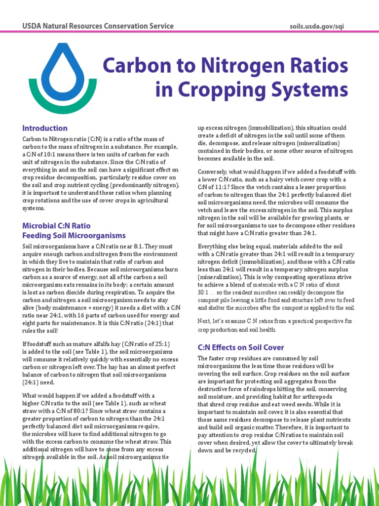 Managing C:N Ratios in Crop Systems | PDF | Crop Rotation | Soil