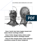 Pembagian Zona Trauma Tembus Leher