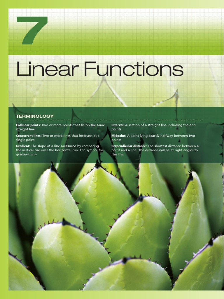 Linear Functions Study Guide | PDF | Triangle | Line (Geometry)