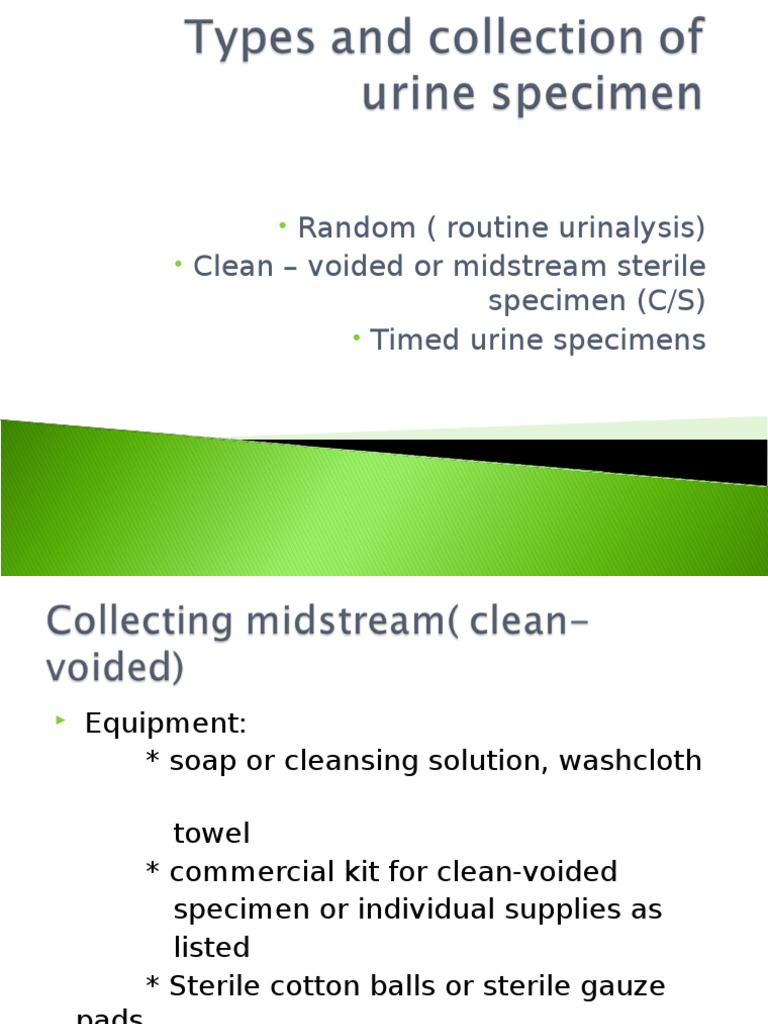 Types and Collection of Urine Specimen Urine Penis