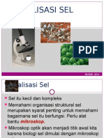 Kuliah 01 Visualisasi Sel 2014