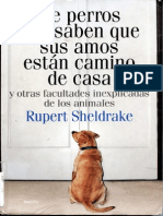 Sheldrake Rupert de Perros Que Saben Que Sus Amos Estan Camino de Casa