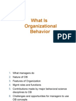 What Is Organizational Behavior