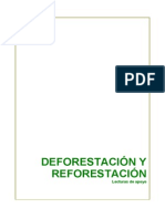 deforestacion_reforestacion