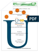 Preinforme de Quimica Organica