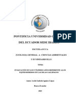 Equinodermos en Las Islas Galápagos