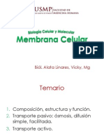 Membrana Celular