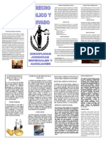 Triptico Introduccion Al Derecho