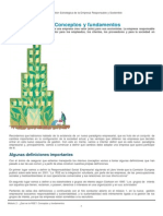 Qué Es La RSE_ Conceptos y Fundamentos