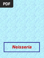 Download General Characteristics of Neisseria Spp by hamada999 SN27570200 doc pdf