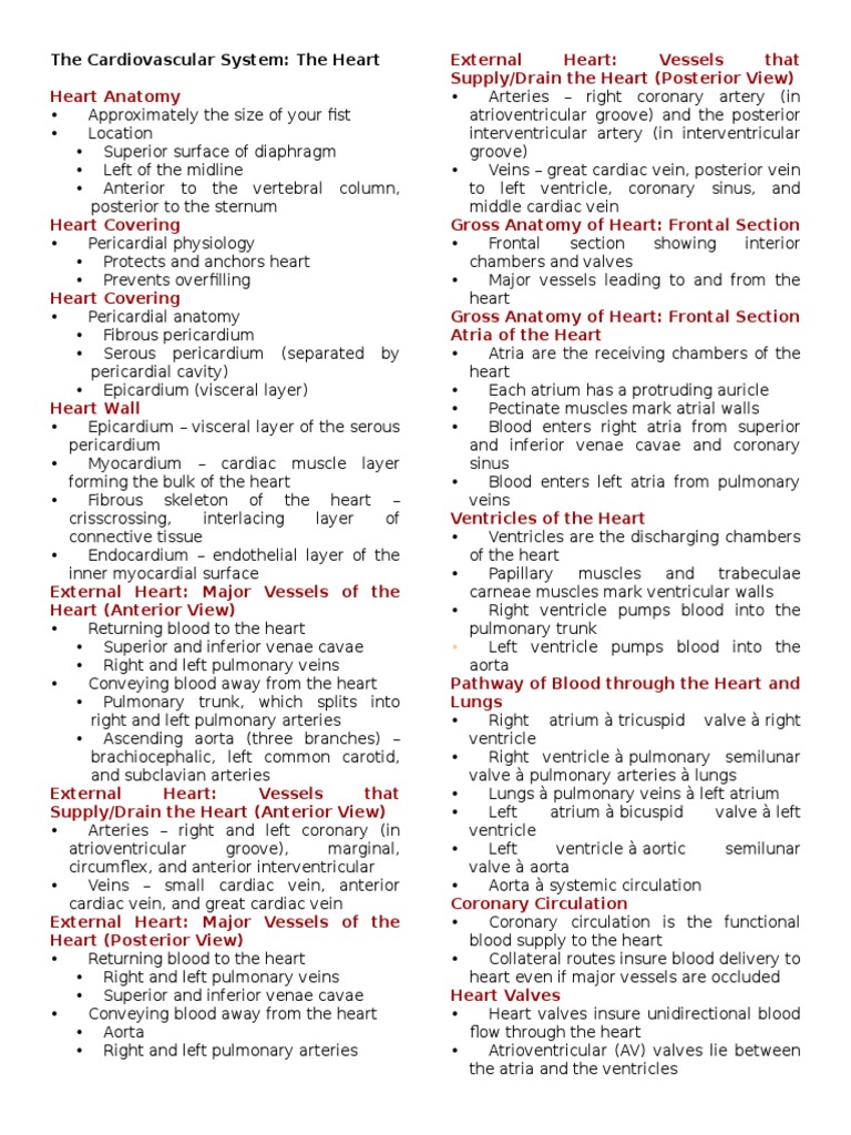 Heart Anatomy and Physiology Overview | PDF | Heart Valve | Heart