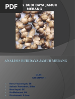 Download Analisi Budidaya Jamur Merang by Rizha SN275717116 doc pdf