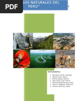 RECURSOS NATURALES.docx
