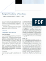 Youmans-Surgical Anatomy Brain