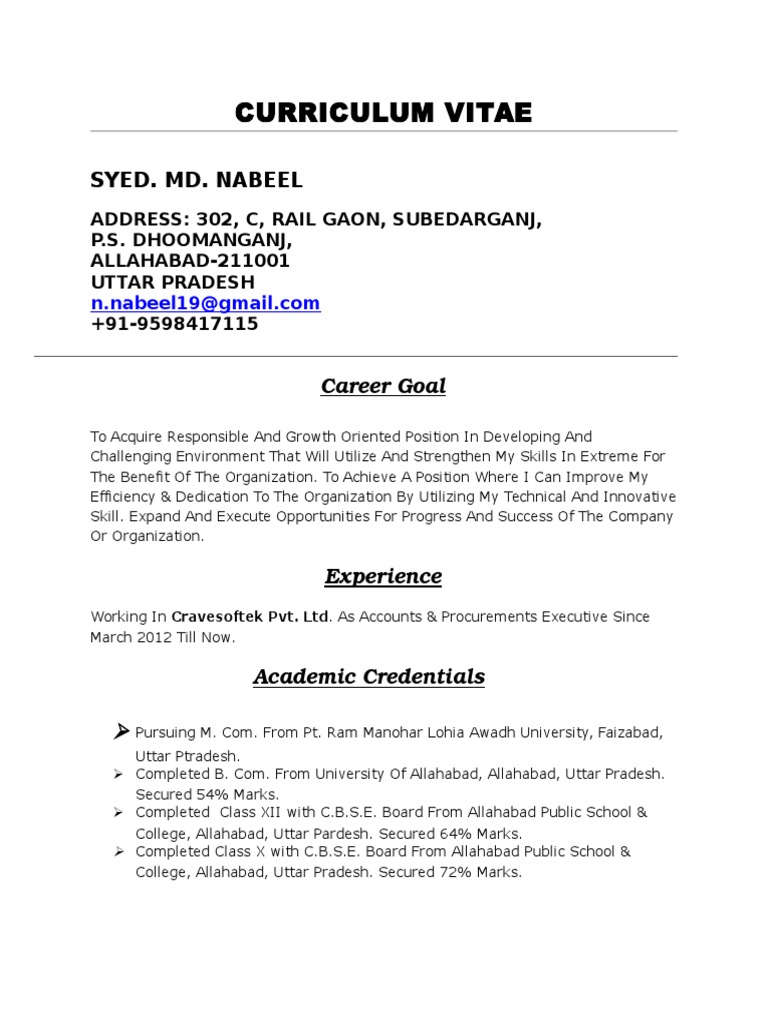 SAP & Finance Professional CV | PDF