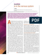 Apoptosis in The Ncs