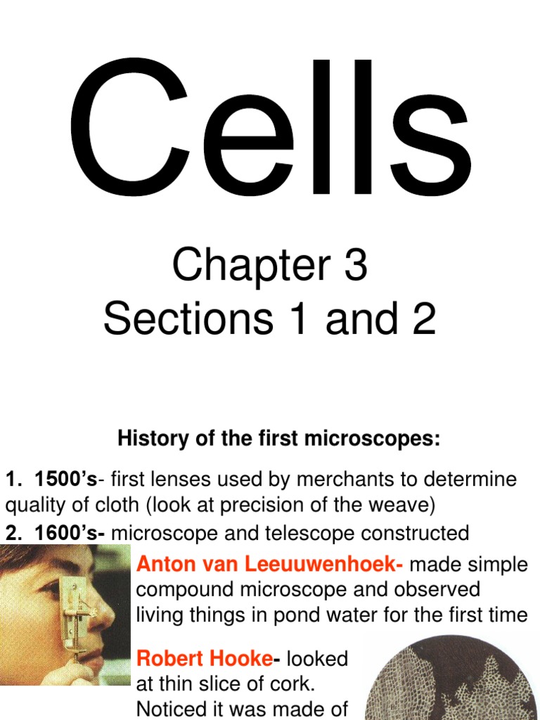 Introduction to Cell Structure and Theory | PDF | Endoplasmic Reticulum ...