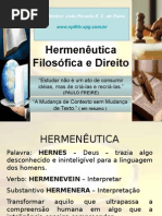 Hermenêutica Filosófica & Direito