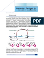 Capitulo 1 Anatomia y Fisiologia