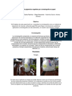 Trabajo Cromatografia PDF