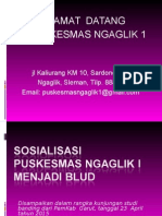 Sosialisasi Pusk Blud (Presentasi)