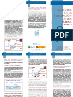 B - 2 - Defectos de La Beta Oxidacion PDF