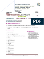 practica 6 plomo.docx