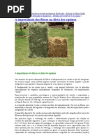 Publicação de entrevista na revista portuguesa Equitação