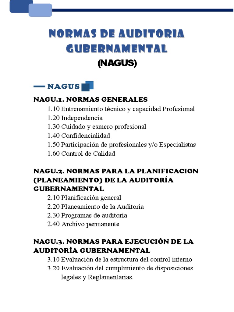 Normas de Auditoría Gubernamental | PDF | Calidad (comercial) | Gobierno