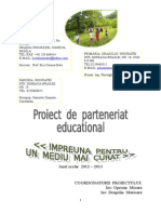 Parteneriat Educational PT Mediu