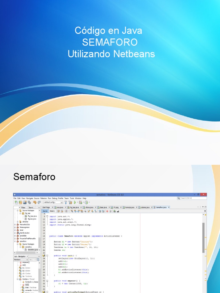 Ejercicio en Lenguaje JAVA | PDF
