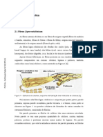 Análise da morfologia e estrutura de fibras ligno-celulósicas