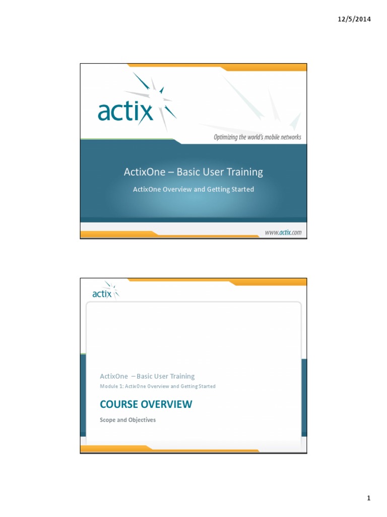 ActixOne Basic User Training Guide | PDF | World Wide Web | Internet & Web