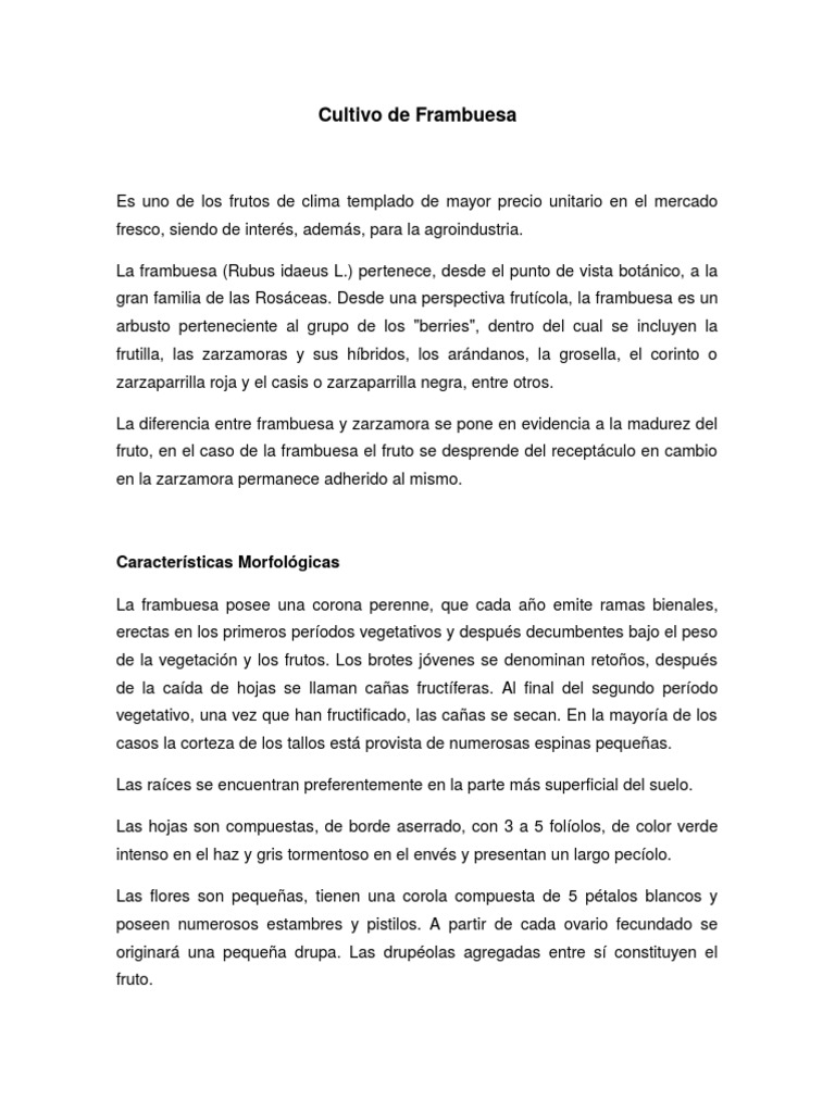 Red de soporte para cultivo trepador de enredaderas de red de enrejado de  plantas de alta resistencia 5 x 60 pies comprar a buen precio — entrega  gratuita, reseñas reales con fotos — Joom, image size:768x1024