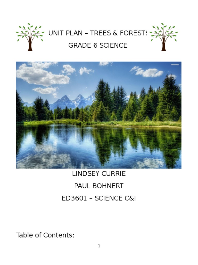 Grade 6 Unit Plan: Trees & Forests | PDF | Educational Assessment ...