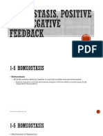 homeostasis pos feedback neg feedback pp for weebly