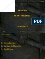 Problemas4 Flotacion PDF