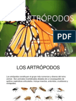 Artropodo Expo Completa