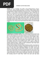 Download Infeksi Cacing Pada Anak by Husen Ali SN275909128 doc pdf