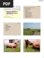 Neonatologia Aula PDF