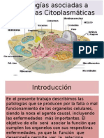 Patologias Asociadas A Los Organelos Grupo 1 Anatomia