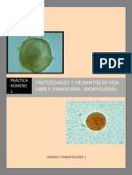 Practica 1 PARA Protozoarios y Helmintos PDF