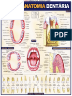 Resumo Anatomia Dental (Leonardo Amandio)