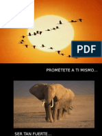 Pro Metete