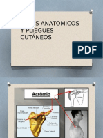 Sitios Anatomicos y Pliegues. Metodologia Clase III A
